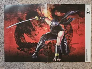 Ninja Gaiden Dragon Sword/Apollo Justice: Ace Attorney 15.5''x11.5'' Poster