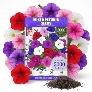 Garden Plant Seed Petunia Seeds 5000pcs seeds Trailing Petunia Colourful Mix Seeds Hanging Basket Window Box Planter Flower