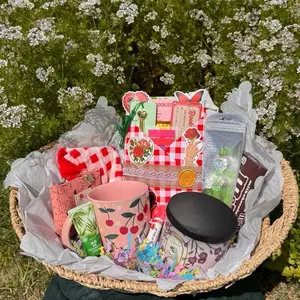 Picnic basket blind date with a book