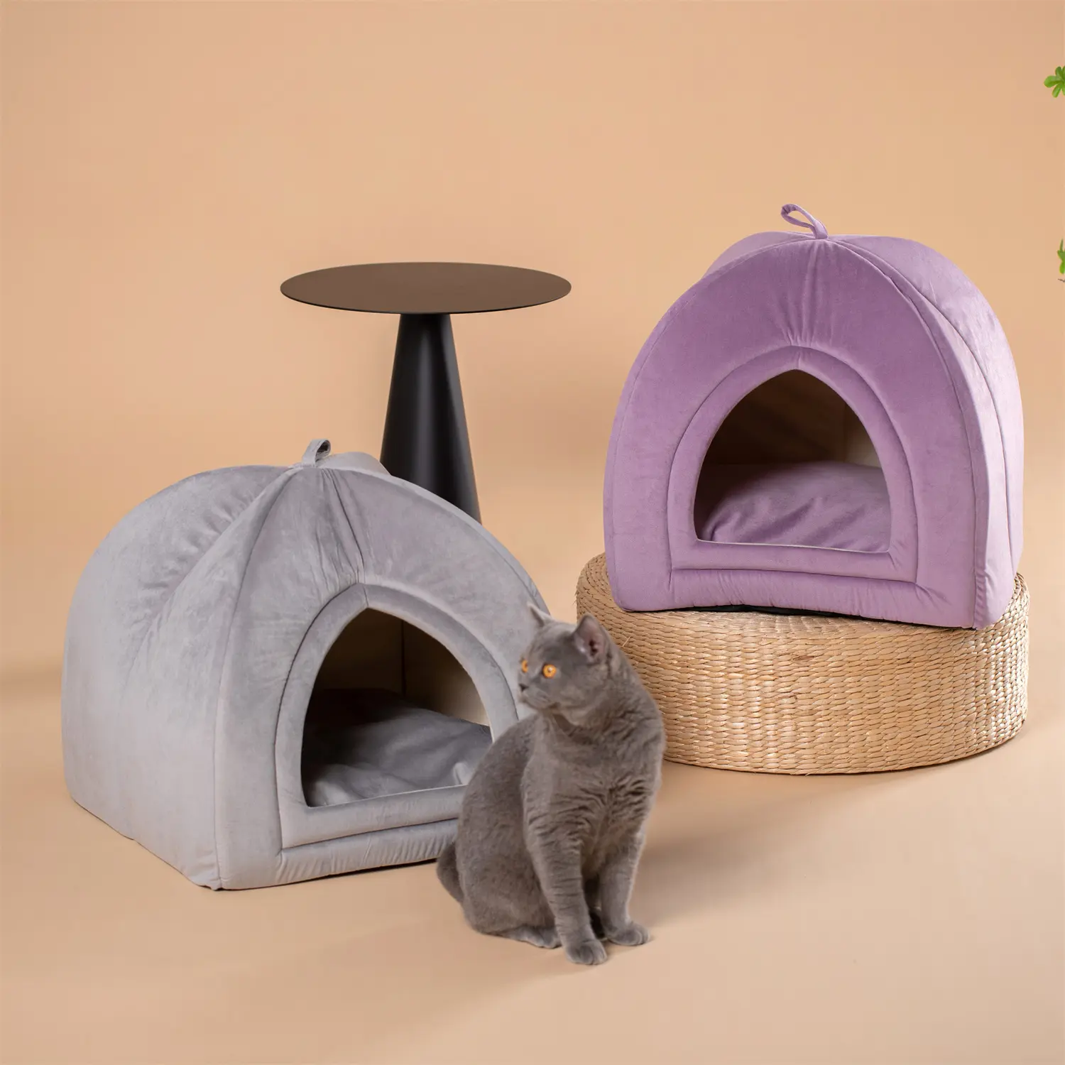 Kasentex Kennel-Shaped Cat Tent Bed - Polyester Fiber Pet Shaped Bed with Detachable Cushion, Machine Washable, Non-Slip, Cozy Resting Spot, Ideal Pet Gift