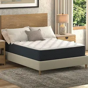 South Street Loft Sleep Right 12" Twin Hybrid Mattress