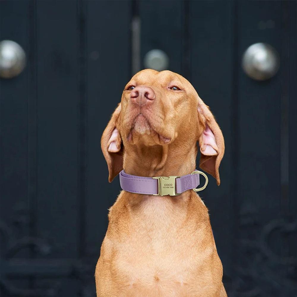 Engraved Dog Pet Collar Custom Puppy Kitten ID Tag Accessories Collar Personalized Nameplate Collars For Dogs Cats Chiens XS-L