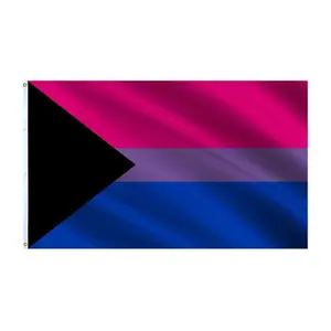 Demi-Bisexual Pride Flag Demi-Bisexual Pride Flag