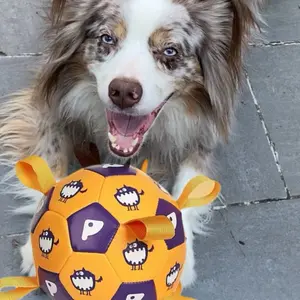 Dog Soccer Ball