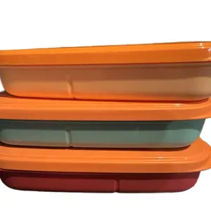 Kids Lunch Containers - Colorful Food Storage Boxes for Children's Meals