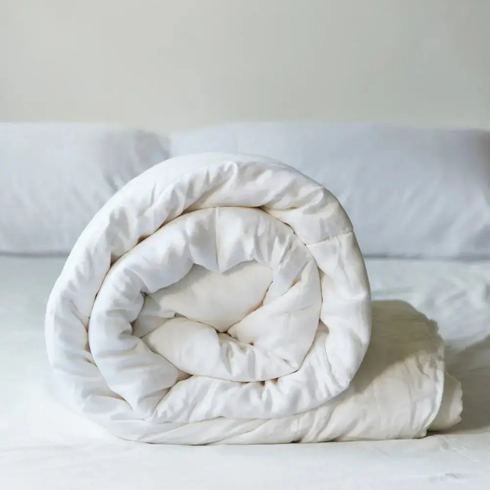 Ettitude CleanBamboo® Comforter Ettitude CleanBamboo® Comforter