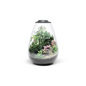Bio Bowl Terrarium Kit