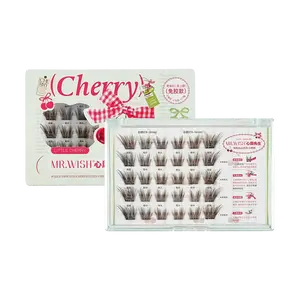 MR.WISH Cherry Blossom Cluster Lashes 30 Clusters - Natural Wispy Faux Mink, Cat Eye Style