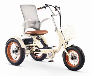 Simple Glide 750w Fat Tire ETrike OPEN BOX RETURN Simple Glide 750w Fat Tire ETrike OPEN BOX RETURN