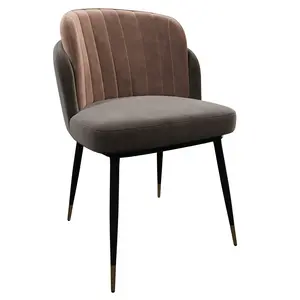 20 pcs.Dining Room Furniture Nordic Restaurant Modern Double Back Fabric Velvet Metal Legs High End Lounge Dining Chairs For Restaurant Coffee Shop YJCM019
