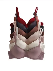 With Steel Rim Bra Ultra Soft Seamless Bra in Various Colors Comfortable Daily High Support Women's Bra Elegant Breathable Cup Women's Bra