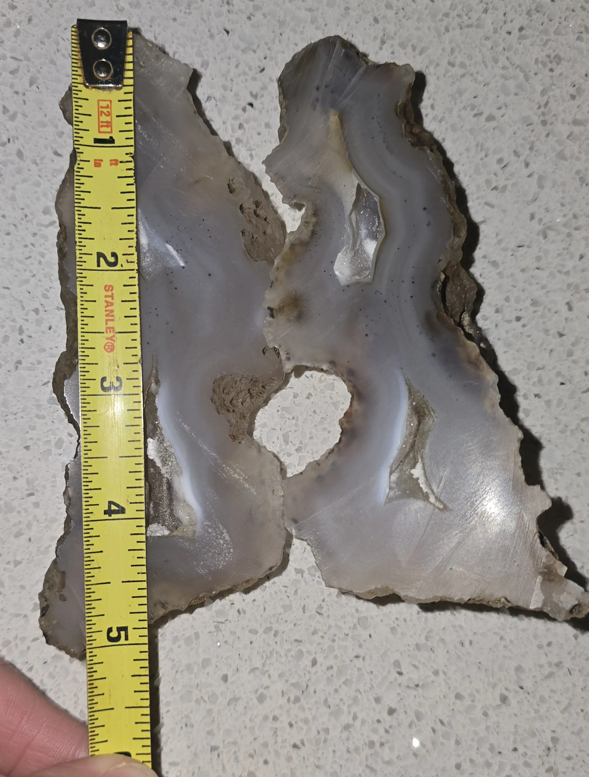 Succor Creek Agate Nodule/Geode - Natural Stone for Home Decor and Healing
