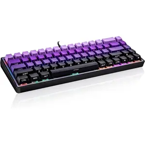 65% Mechanical Gaming Keyboard, 68  RGB Backlit Compact Keyboard with Blue Switches, Hot Swappable Wired Mini Keyboard, Detachable USB-C for PC  Gamer