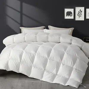 Down Feathers Comforter  Size,  Season Duvet Insert , Luxury Lightweight Bedding Comforters with 8 Corner Loops, White 68x90"