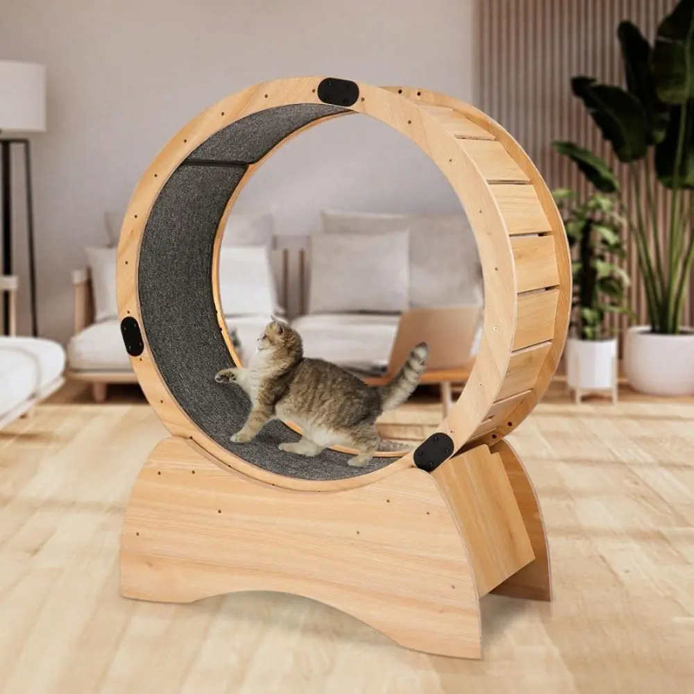360° Cat Running Wheel - Adjustable Spinning Exercise Toy with Removable Carpet, Kitty Fitness Organiser
