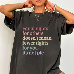 Equal Rights for Others Doesn't Mean Fewer Rights For You, It's Not Pie Shirt, Human Rights Tee, Social Justice T-shirt