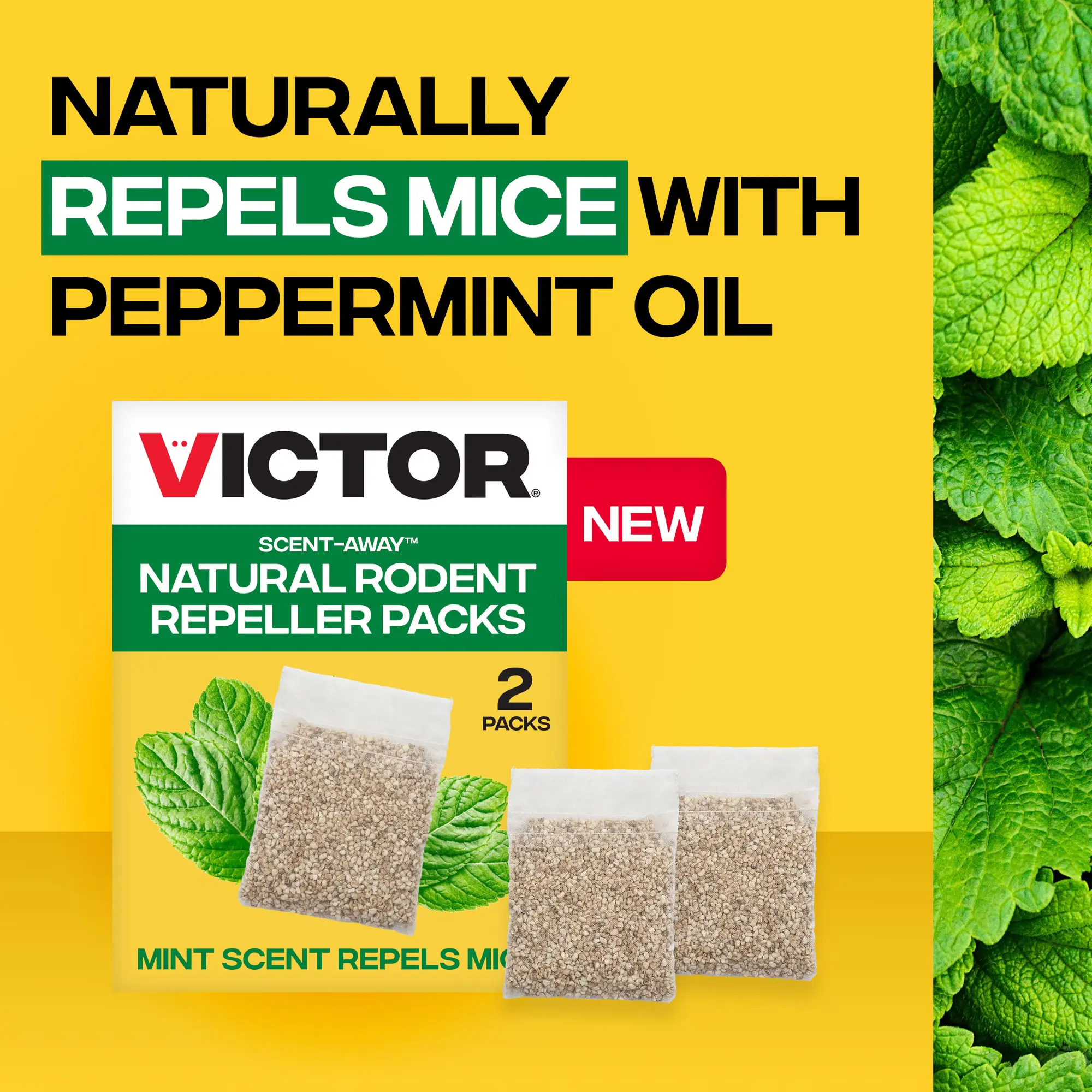 Victor Scent-Away Mouse Repellent - Repel by Scent - Natural Rodent Repellent - 2 Pack