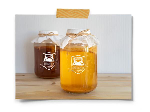 Kombucha Essentials Kit