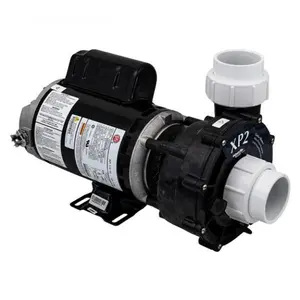 Gecko Alliance AF066100062040 115V XP2 Pump - Dual Speed - 1.5 HP, 9.5 & 3.2 Amps