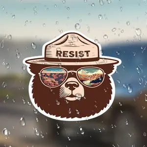 Funny Smoked Bear Stickers for Cars Laptops Refrigerators Suitcases Plastic Surfaces, Fun Animal Decals, Decorative Accessories, Windshield Sticker