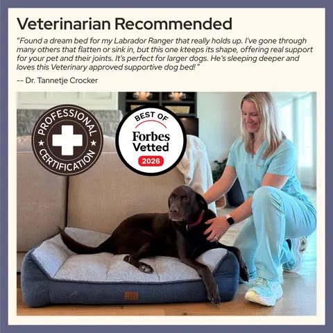 【Big Dog Essentials】Bedsure SupportMax Dog Beds for Large Dogs - Easy Care,Pet Furniture Bed,Premium Supportive Couch for Senior Dogs, Water-resistant Removable Washable Cover, Jumbo Comfy Pet Sofa with Sherpa
