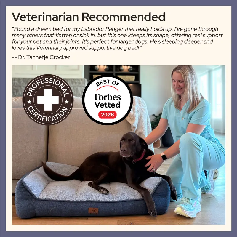 【Big Dog Essentials】Bedsure SupportMax Dog Beds for Large Dogs - Easy Care,Pet Furniture Bed,Premium Supportive Couch for Senior Dogs, Water-resistant Removable Washable Cover, Jumbo Comfy Pet Sofa with Sherpa
