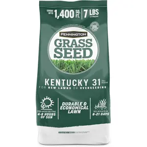 Pennington 100% Kentucky 31 Tall Fescue Penkoted Grass Seed 7 lb