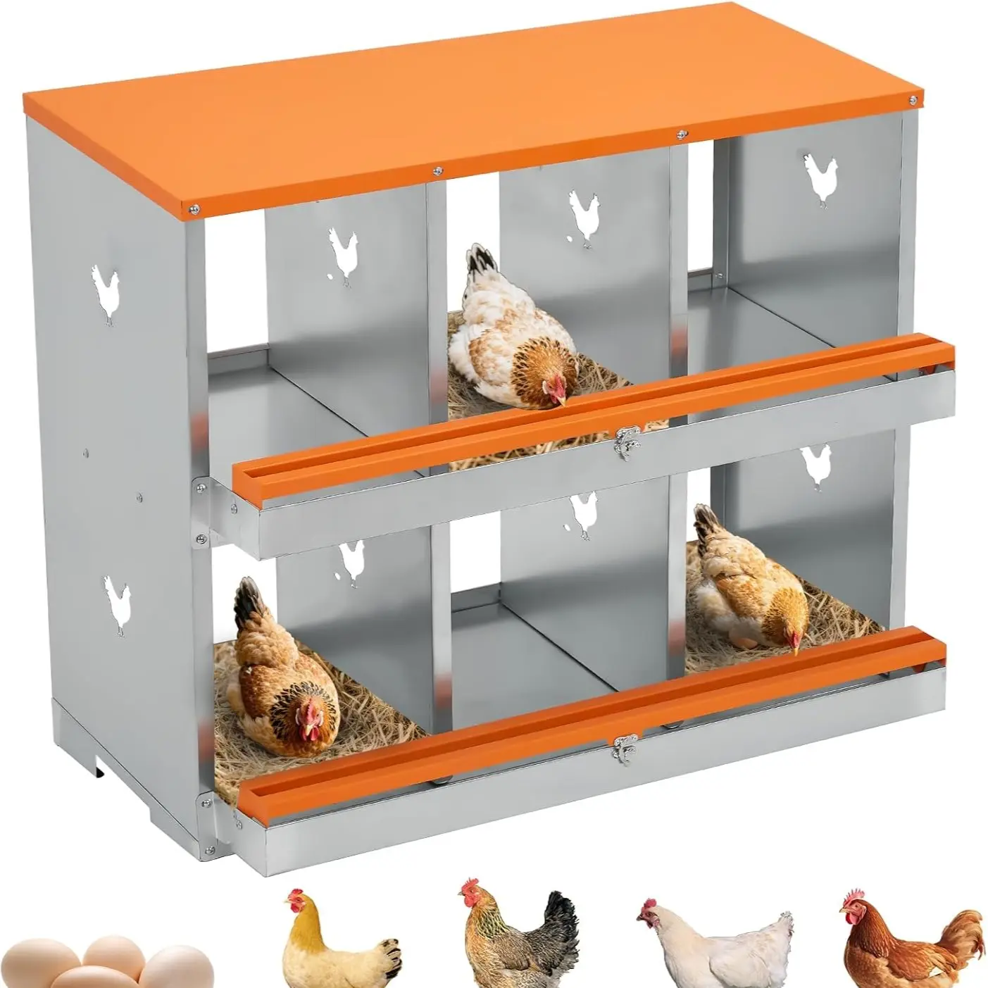 Orange | 6 Compartment