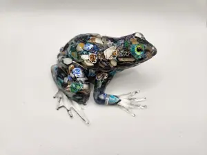 Cushed shell  frog