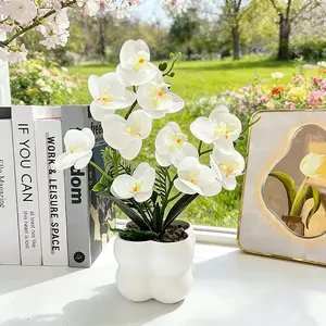 Butterfly Orchid Plant Pot Decor, Home Decoration, Entryway Accent, Balcony Scene, Realistic Film, Four-Square Greenery Mini Bonsai