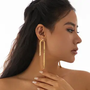 Party snake bone chain earrings personalized long tassel earrings Earring women's earrings