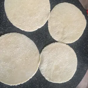 AORAN Portable Electric Round Comal - Smokeless Non-Stick Edible Coating Teppanyaki Griddle, Adjustable Temperature Control, Space-Saving Healthy Low Fat Barbecue Grill for Tortilla & Carne Asador Summer Use