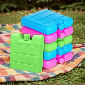 6 Reusable Ice Boxes - Leak-Proof Freezer Bag Suitable for Outdoor Adventure Camping And Travel Keep Food Fresh And Cool Durable PE Material Non-Food Contact