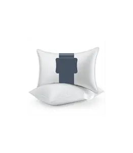 Goose Feather Pillows Queen Size Set of 2, Hotel Down Bed Pillow for Sleeping,Soft 600 TC Cotton Cover