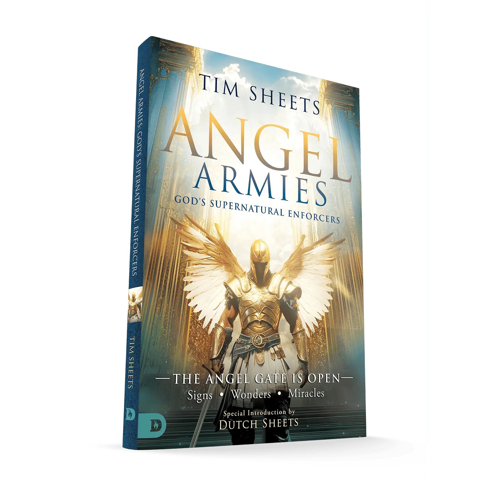 Angel Armies: God's Supernatural Enforcers: The Angel Gate is Open: Signs, Wonders, and Miracles – May 6, 2025