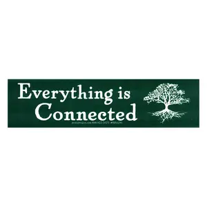 Everything is Connected Bumper Sticker