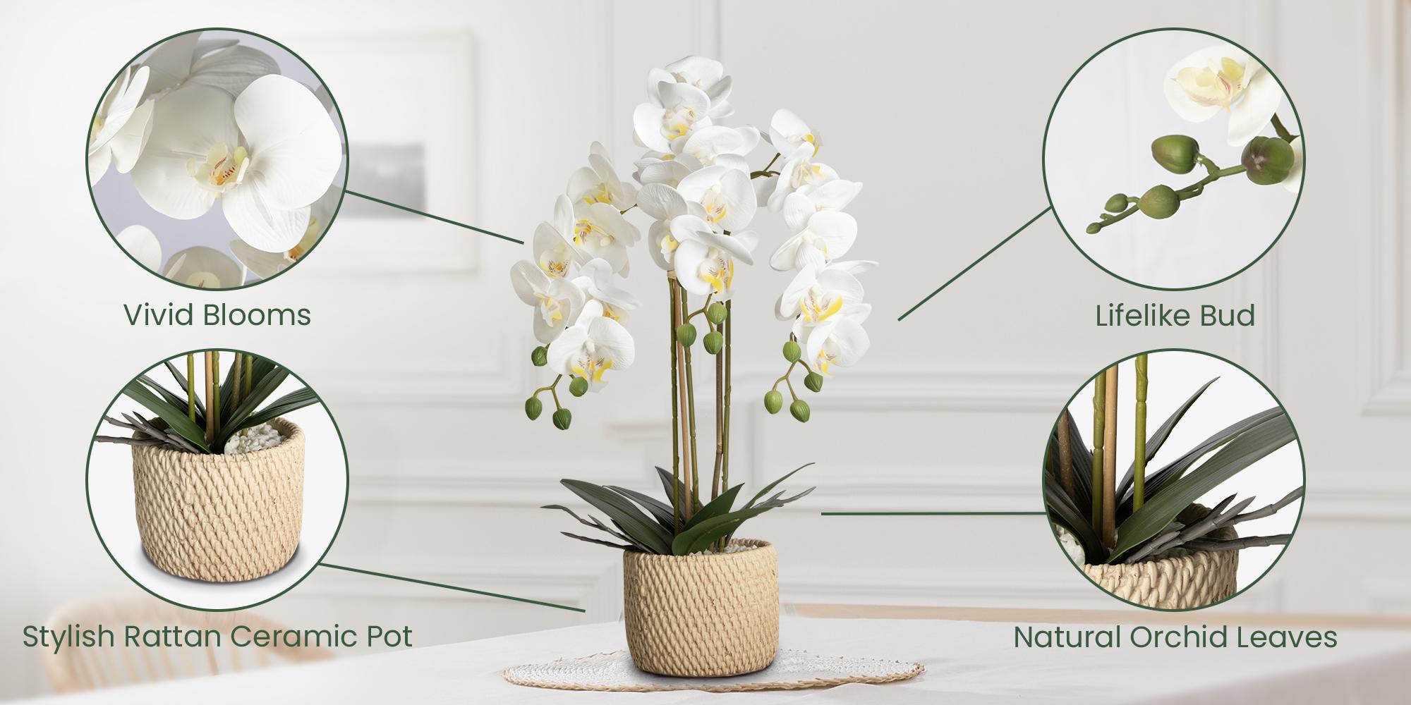 Porch decor.ennva ceramic potted artificial orchid flowers, white faux phalaenopsis for table decoration, realistic artificial flower ornaments suitable for home and office interior decoration