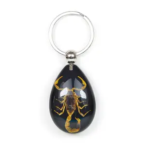 Black Pendant Keychain with Real Brown Scorpion