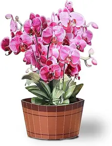 Pop Up Paper Flowers - Orchid pots Card 12 Inch Life Sized Forever Holiday Paper Flowers Decorations 3D Birthday Popup Greeting Card Paper with Note Card and Envelope