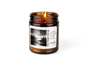 Petrichor | The smell of earth after rain | Soy Wax Candle in Amber Jar