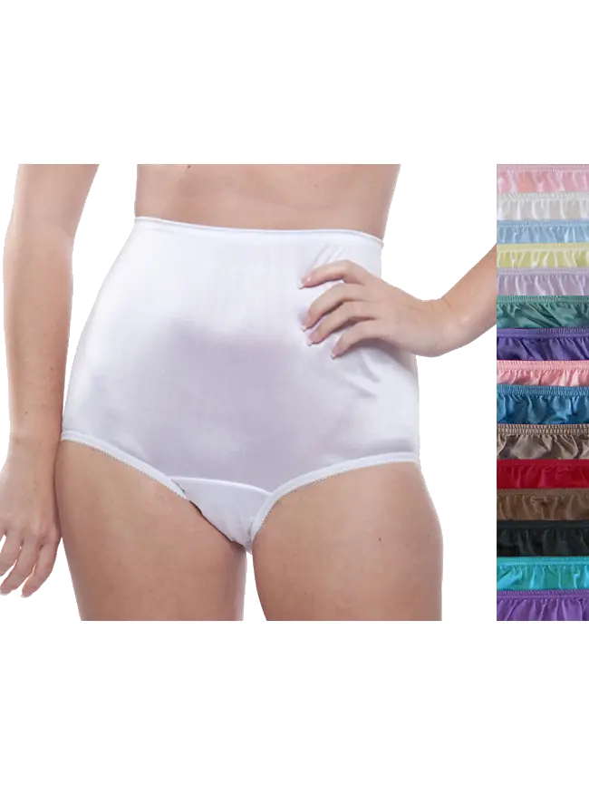 Nylon Brief Panty (Style 331/Plain Jane) Surprise Color 10 Pack