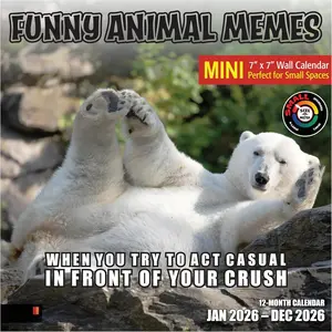 Funny  Memes 2026 Mini Wall Calendar 12 Month | 7" x 14" Open | Thick & Sturdy Paper | Holiday  |   Calendar 2026