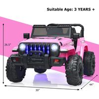 Style 3 - Pink- With LED lights