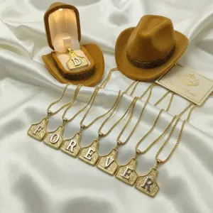 Women's Stainless Steel Letter Pendant Necklace, Western Cowboy Engraved Design, Rhinestone Decorative Jewelry Gift for Women Daily Wear, Elegant Rhinestone Necklace, Letters Necklace Heartfelt Gift