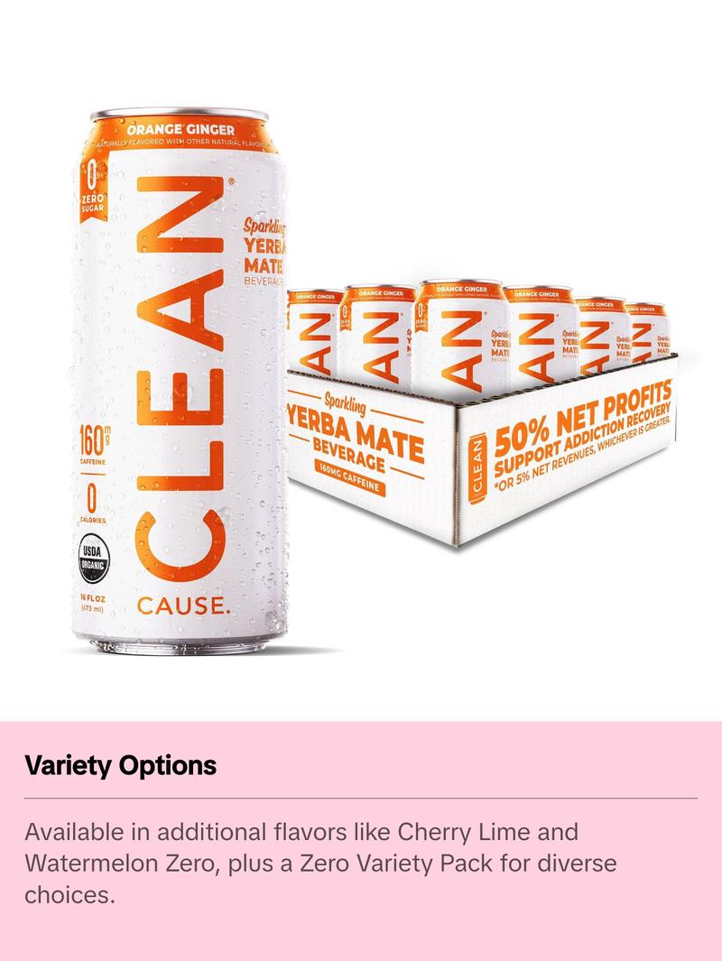 Orange Ginger Zero Calorie Organic Sparkling Yerba Mate Tea Beverage - Sugar-Free