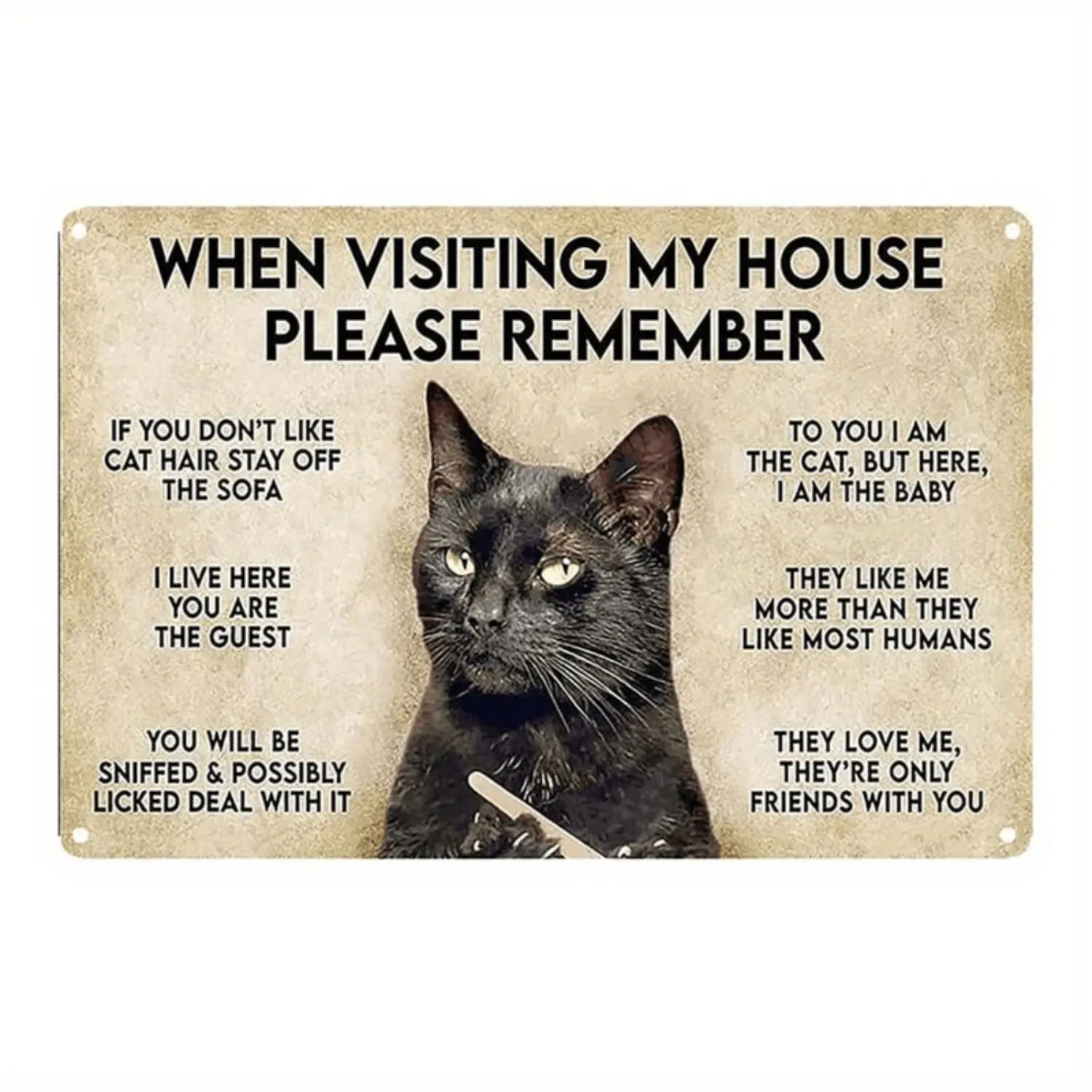 Vintage Cat-Themed Metal Sign - 8x12 Inch, Humorous Tin Wall Art for Home, Durable Outdoor Decor, 1pc
