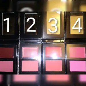 BLUSH DUO