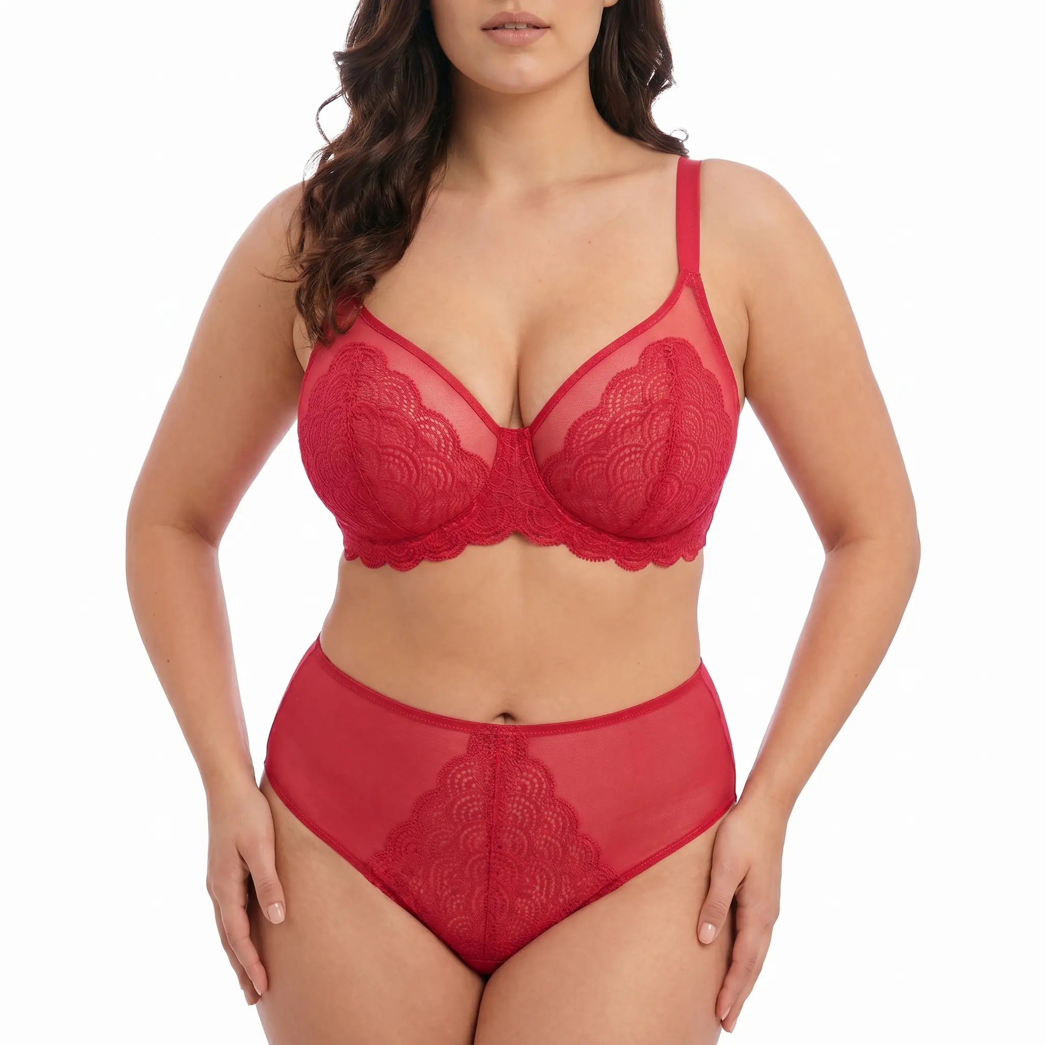 HSIA Mermaid Scales Lace Sheer Mesh Back High-Rise Brief Underwear Matching Panty HSIA Mermaid Scales Lace Sheer Mesh Back High-Rise Brief Underwear Matching Panty