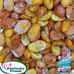 Freeze Dried Grape Tomatoes with Ranch