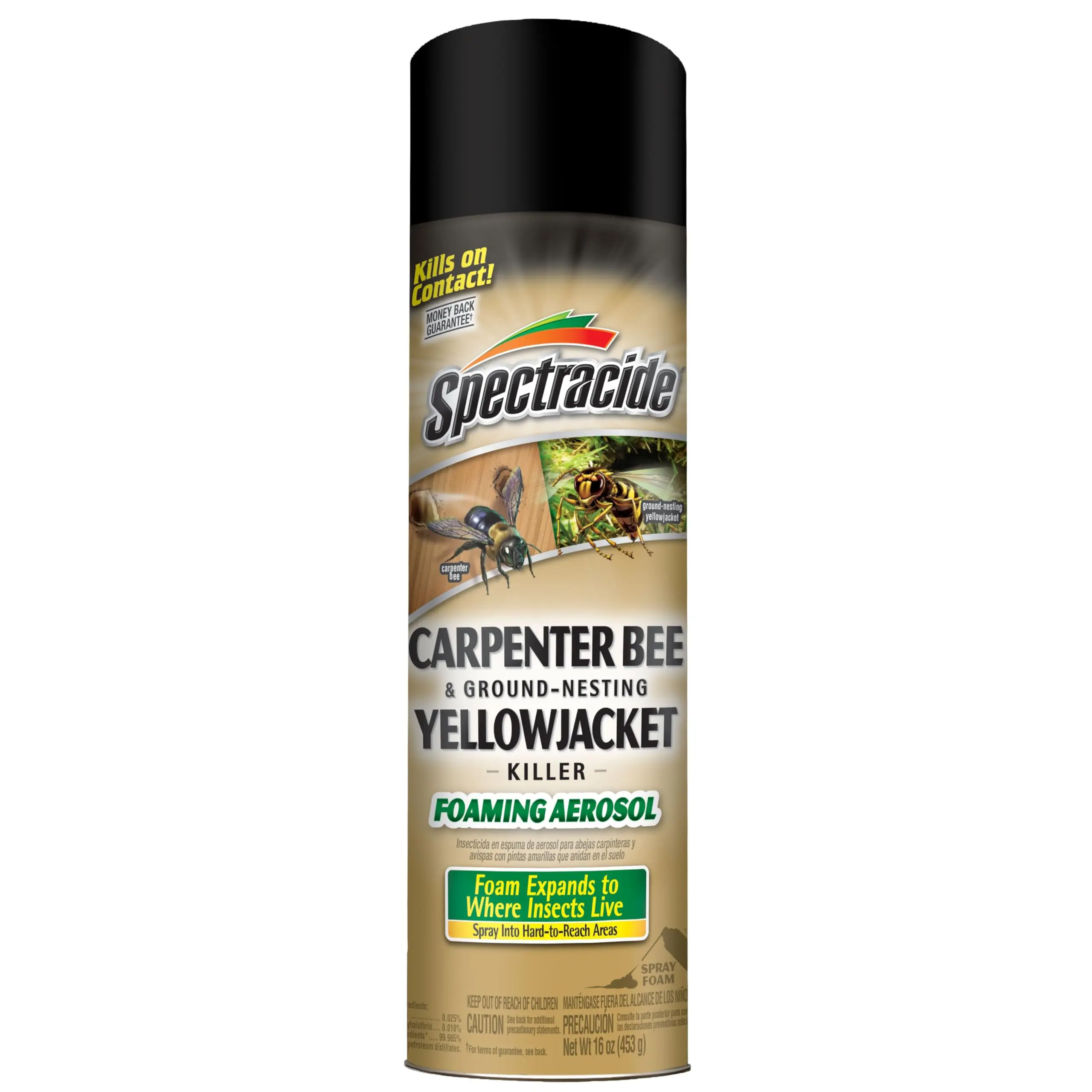 Carpenter Bee & Yellowjacket Foam Spray, Expanding Aerosol Formula, 16 oz Outdoor Application